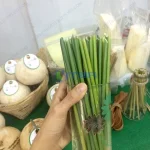 Ống hút cỏ quán bar cafe trà sữa